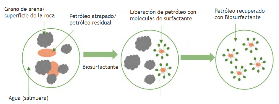  Acción microscópica de un surfactante