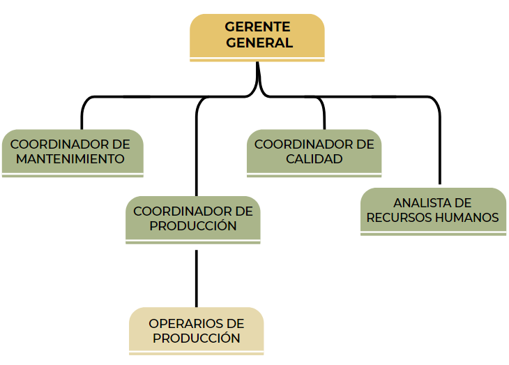  Estructura organizacional.