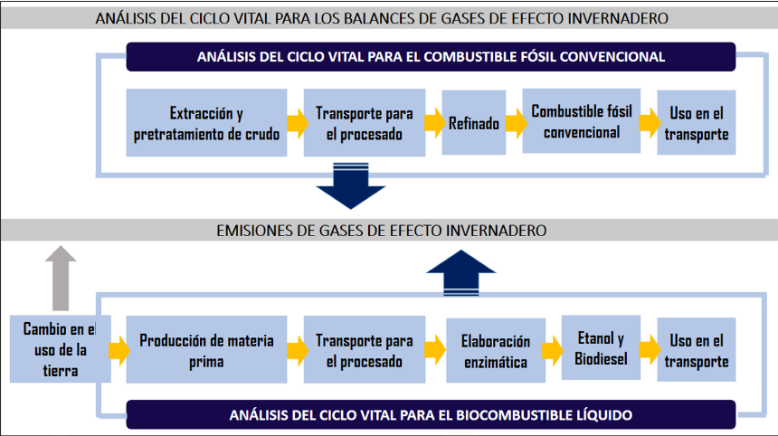 Análisis del ciclo vital para los balances de gases de efecto invernadero.