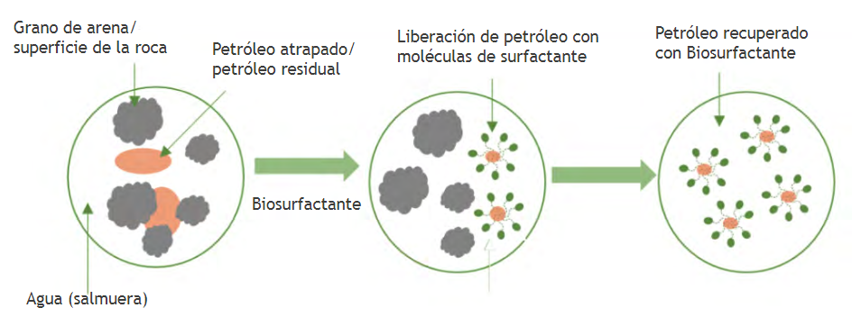  Acci&oacute;n microsc&oacute;pica de un surfactante