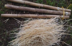 Extracci&oacute;n de fibras ca&ntilde;a brava.
