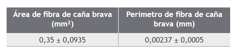 &Aacute;rea y per&iacute;metro de la fibra de ca&ntilde;a brava