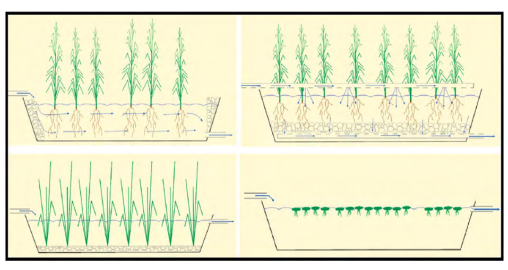  Tipos de humedales
construidos: (a) flujo subterr&aacute;neo horizontal; (b) flujo subsuperficial vertical;  

(c) flujo superficial con vegetaci&oacute;n emergente; (d) flujo superficial con vegetaci&oacute;n flotante [39].