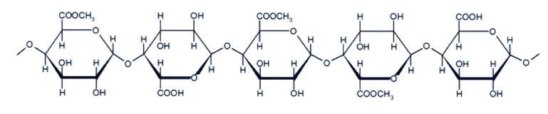 Estructura básica de la pectin