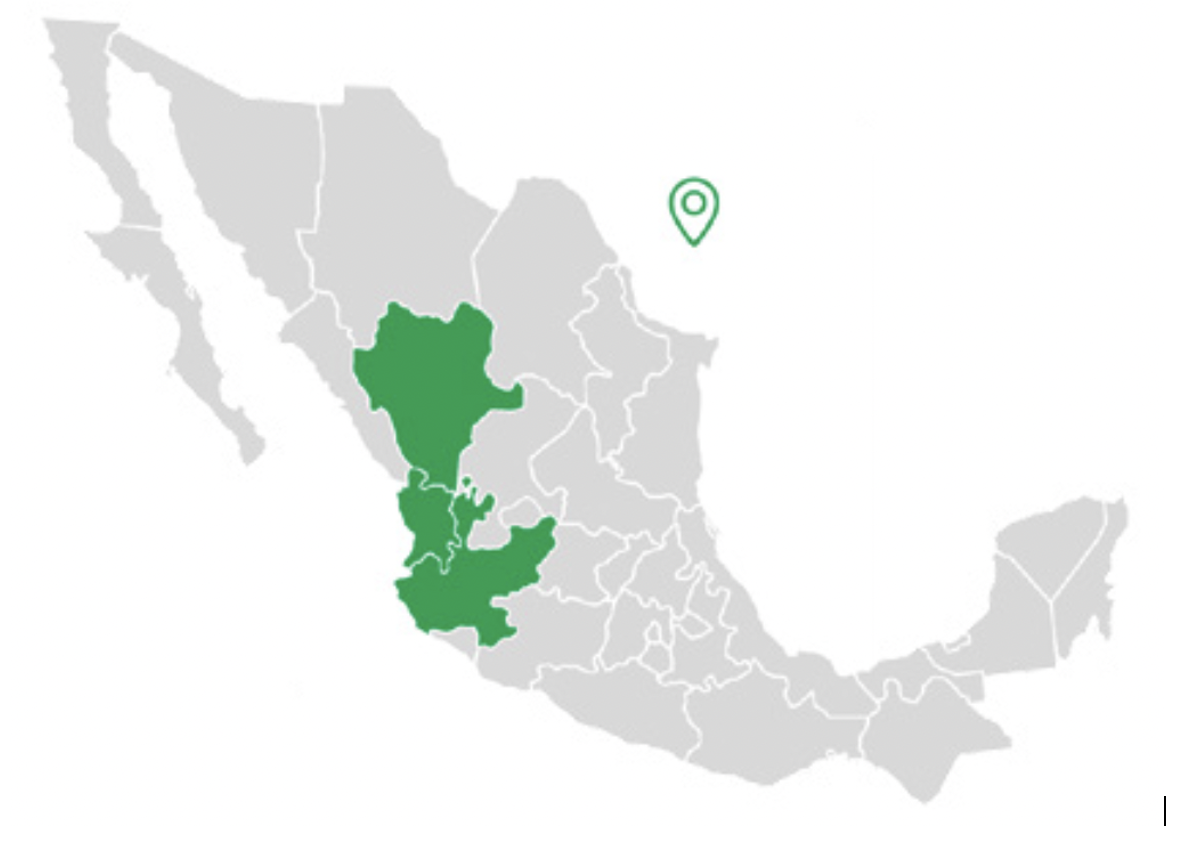 Mapa de la denominada Región del Gran Nayar:  
  Sierra Madre Occidental, Jalisco, Durango y Nayarit