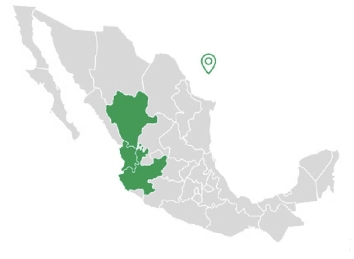 Mapa de la denominada Región del Gran Nayar:
Sierra Madre Occidental, Jalisco, Durango y Nayarit