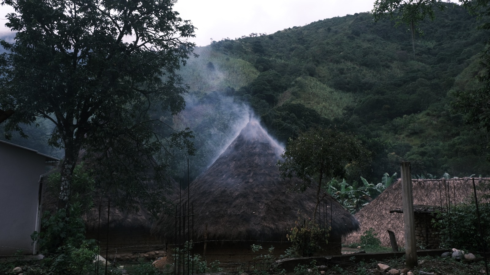 Kankurua. 