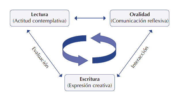 Estructura de los ambientes

de aprendizaje propuestos
en la investigación