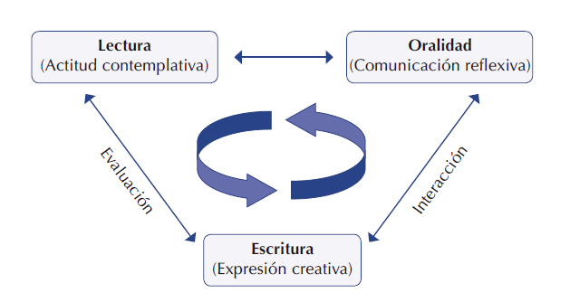 Estructura de los ambientes
de aprendizaje propuestos
en la investigación