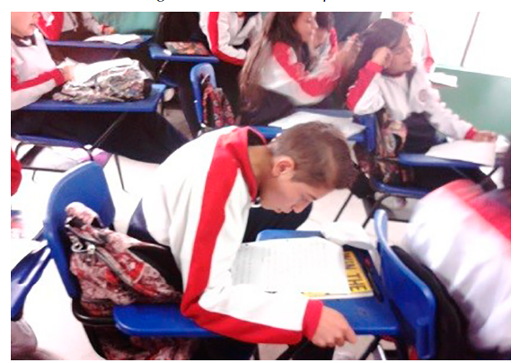 Fase de contemplación